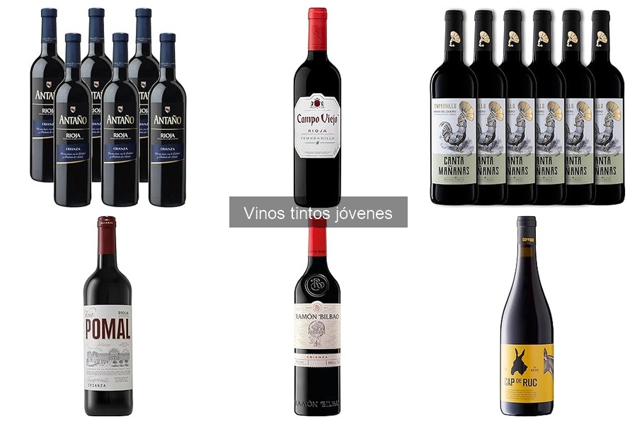 Consejos para conservar vinos tintos jóvenes frescos