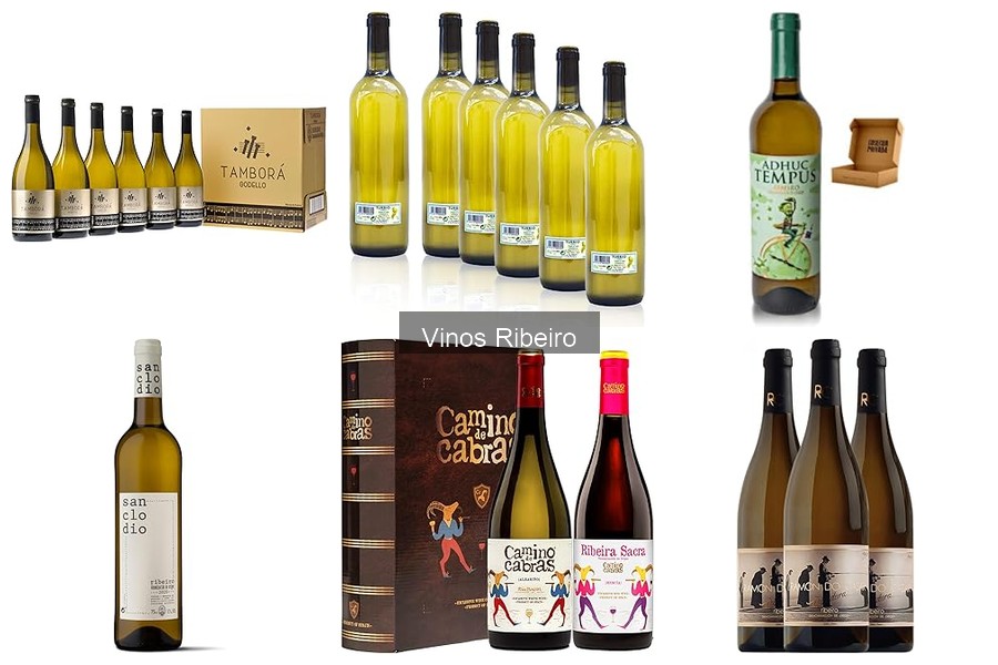 Cultivo de uvas para vino Ribeiro: guía completa