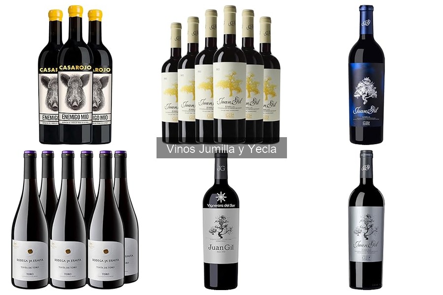 Descubre el Vino de Jumilla y Yecla: Historia y Características