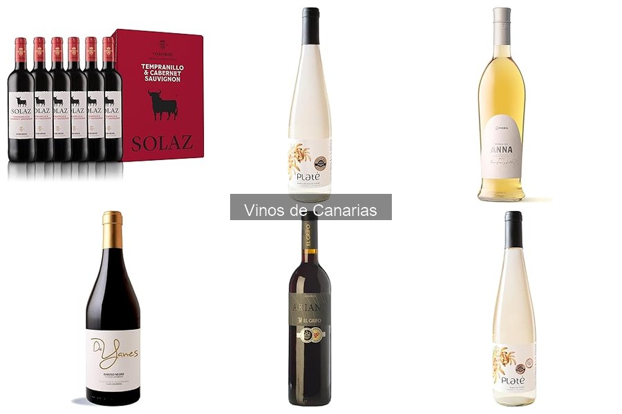 Descubre los Vinos de Canarias: Variedades y Características