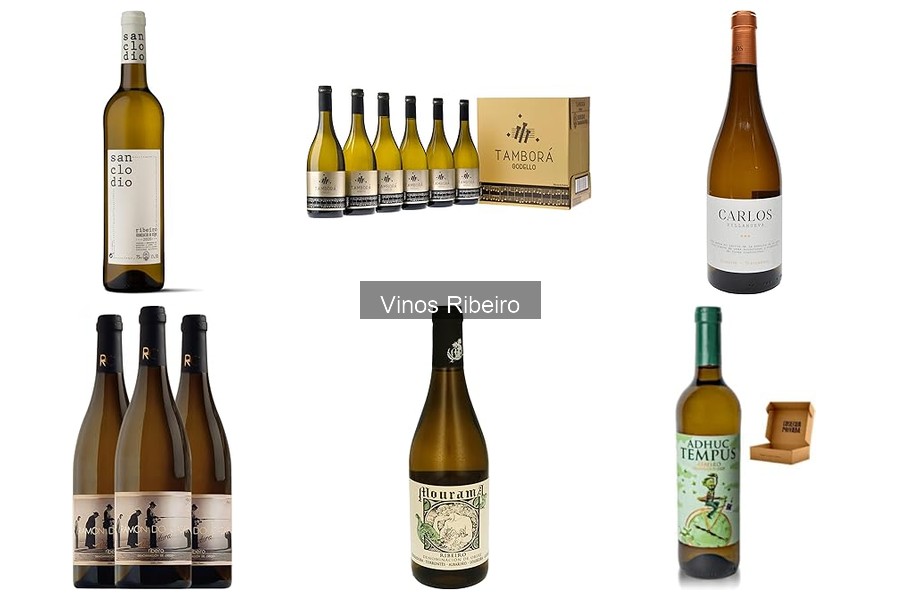 Diferencias entre los tipos de vino Ribeiro: blanco, tinto y más