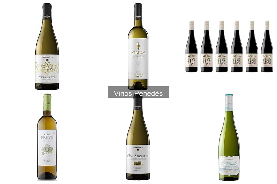 Diferencias entre vinos tintos y blancos de Penedès