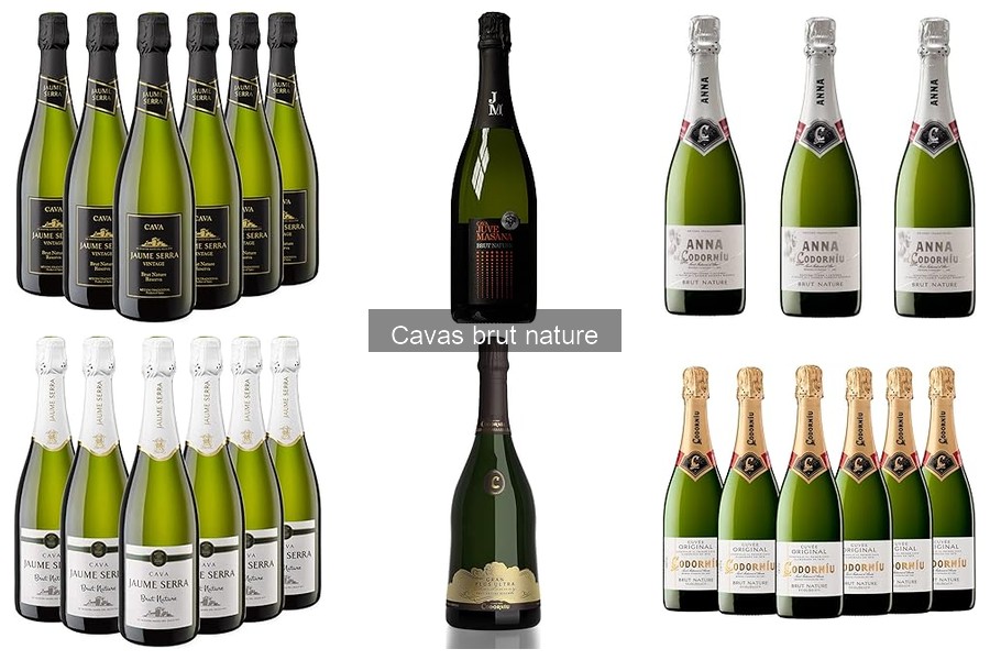Dónde comprar cava brut nature a buen precio online