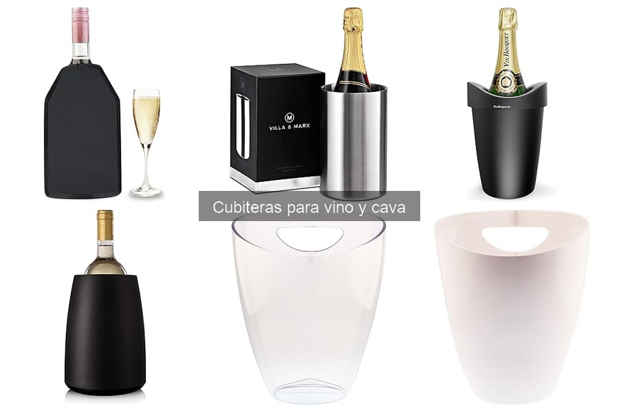 Dónde comprar cubiteras para vino y cava: Guía y mejores opciones