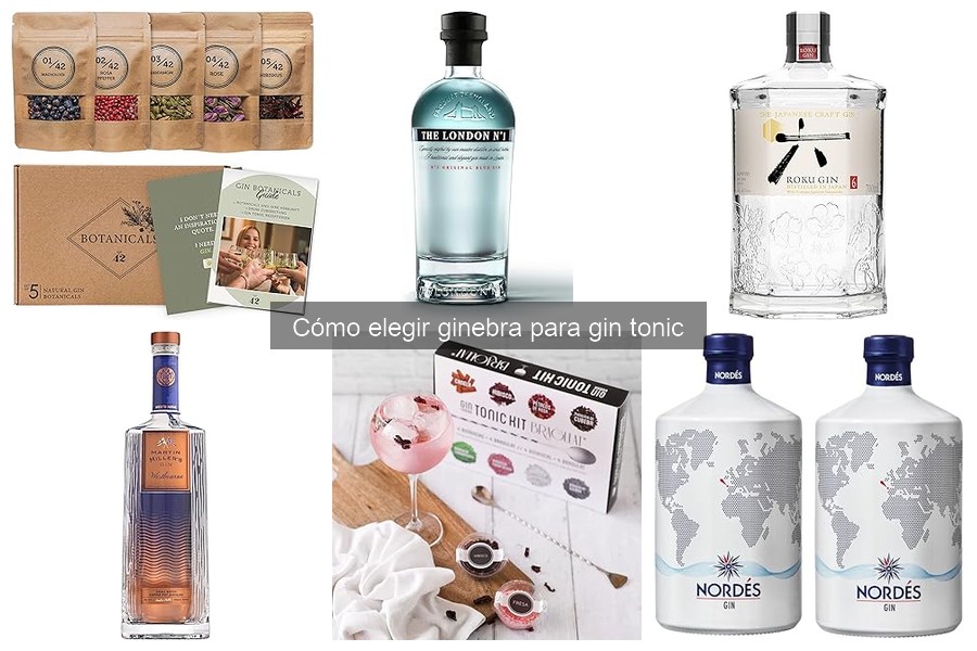 Dónde comprar ginebra para gin tonic al mejor precio