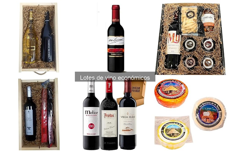 Dónde comprar lotes de vino económicos en línea