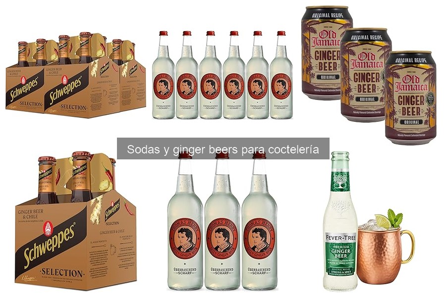 Dónde comprar sodas y ginger beers para coctelería
