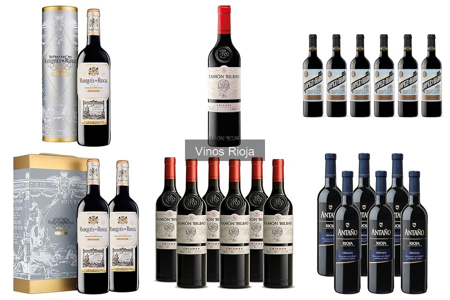 ** Dónde comprar vino Rioja online: las mejores tiendas