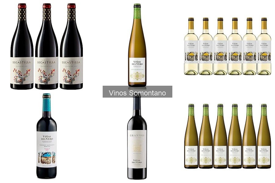 Dónde comprar vino Somontano online: las mejores opciones