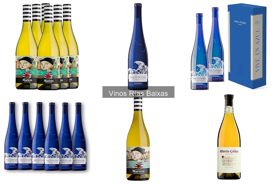Dónde comprar vinos Rías Baixas online de forma segura