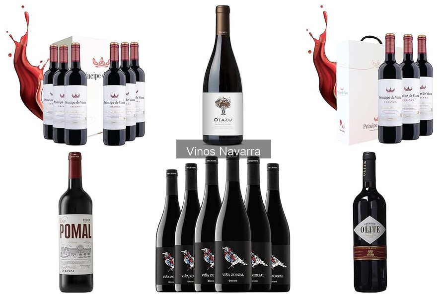 Errores al elegir un vino de Navarra: soluciones prácticas
