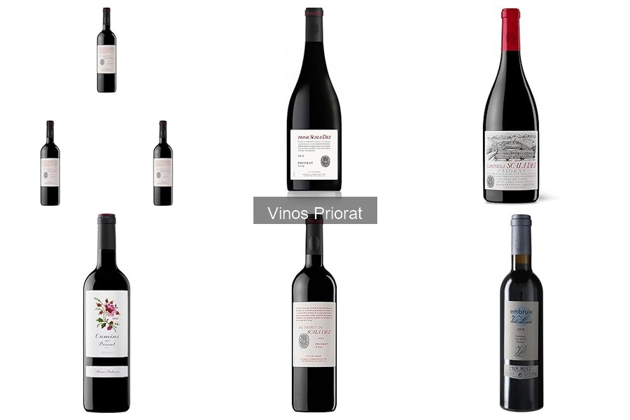 Errores comunes al almacenar vino Priorat y cómo evitarlos