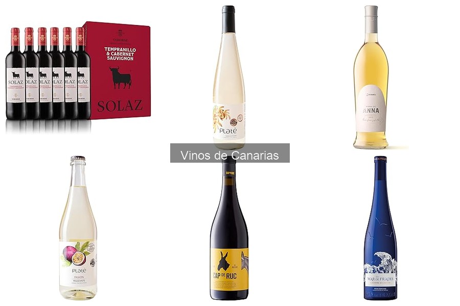 Errores comunes al comprar vinos de Canarias y cómo evitarlos