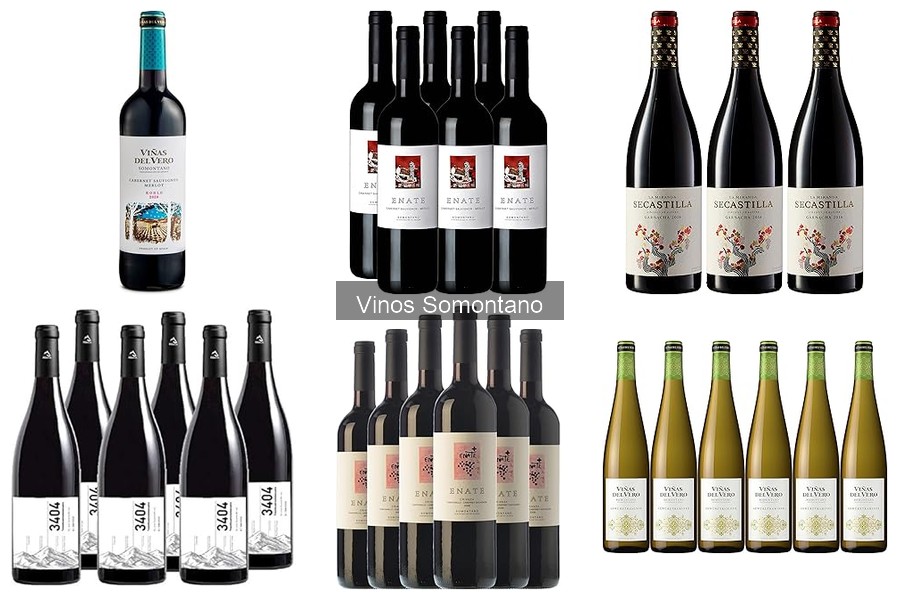 Errores comunes al degustar vino Somontano y cómo evitarlos