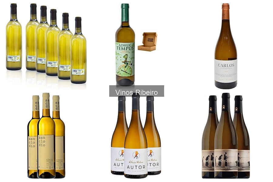 ** Errores comunes al elegir vinos Ribeiro de calidad