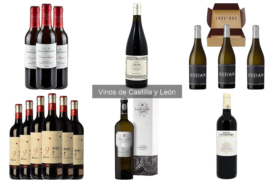 Errores comunes al servir vinos de Castilla y León