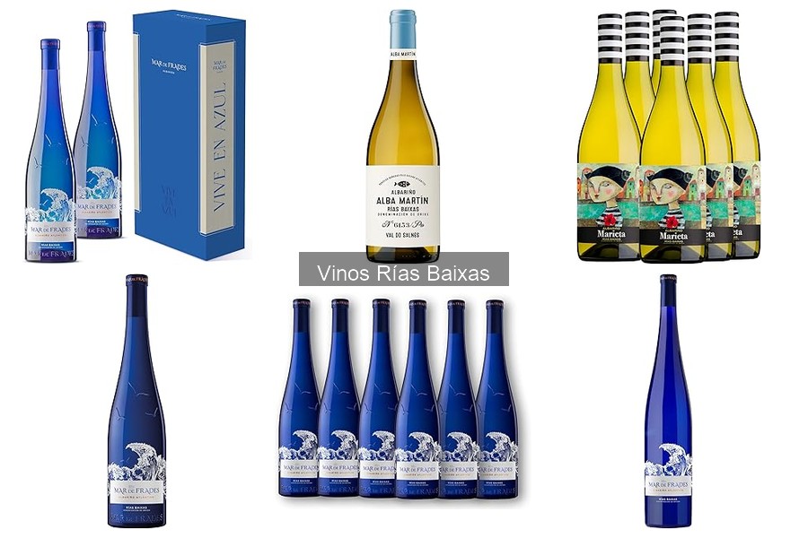 Eventos y Ferias de Vinos Rías Baixas: ¡Descúbrelos!