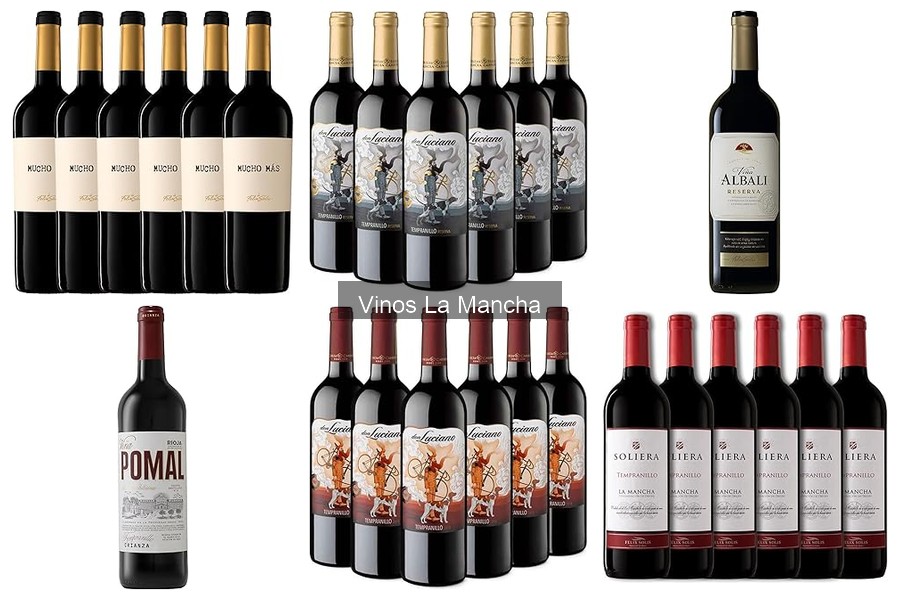 Eventos y ferias del vino de La Mancha: Cultura y Tradición