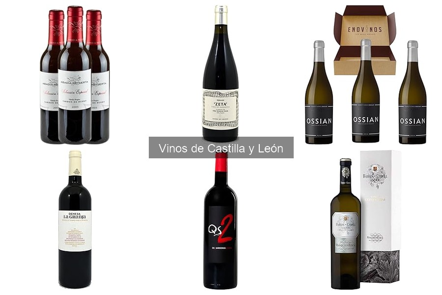 Guía de compra de vinos de Castilla y León: consejos y maridajes