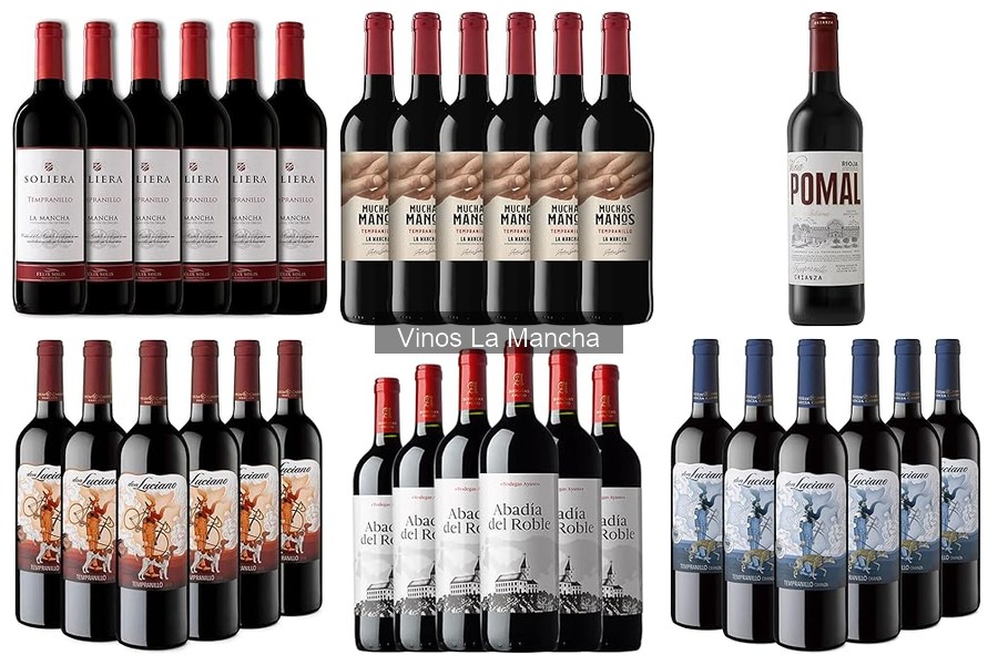 Guía para entender la etiqueta de vinos de La Mancha