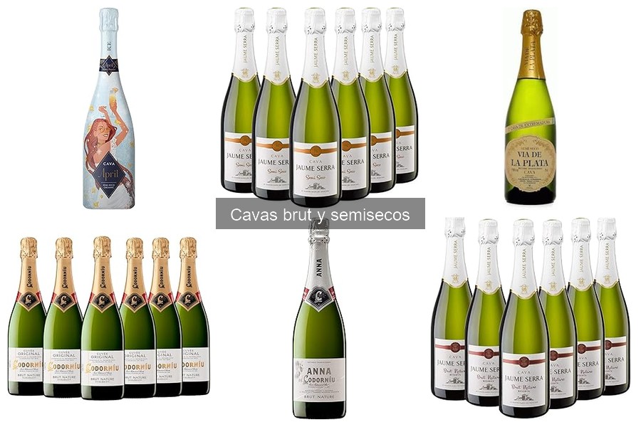 Historia del Cava Brut y Semiseco: Orígenes y Evolución