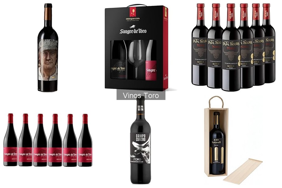 Historia del vino en la región de Toro: tradición y cultura