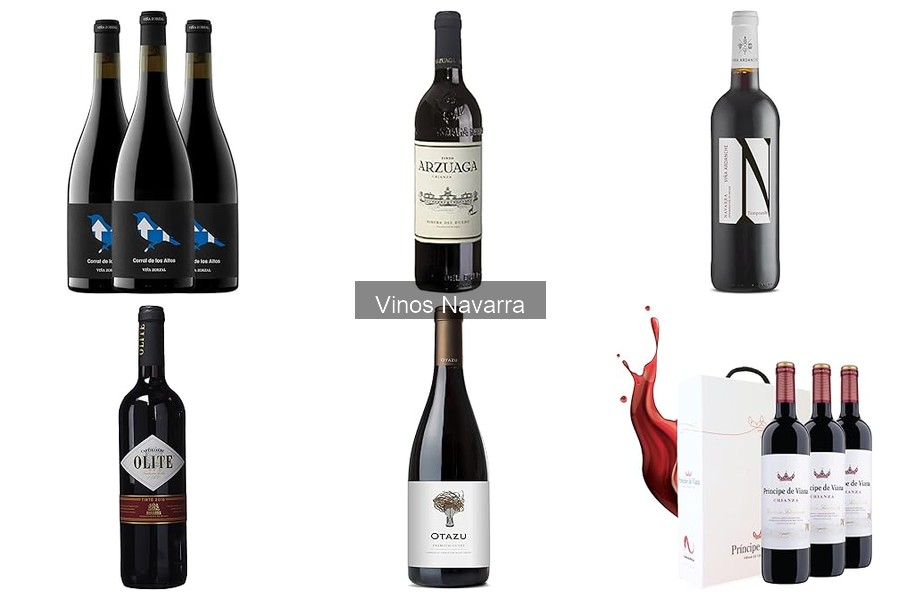 Historias y tradiciones de los vinos de Navarra