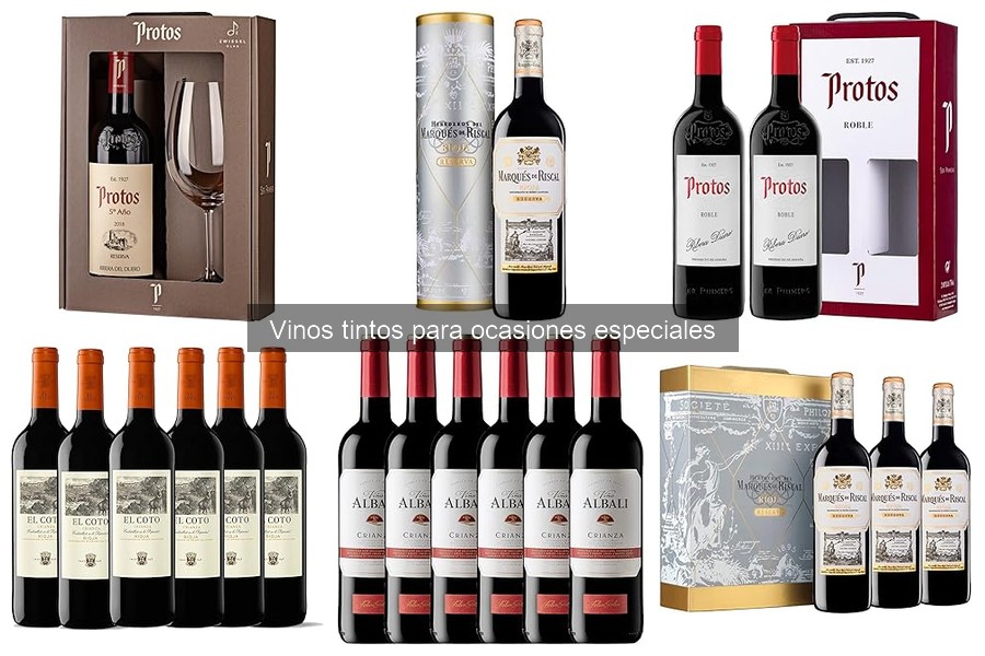 La temperatura ideal para servir vino tinto en ocasiones