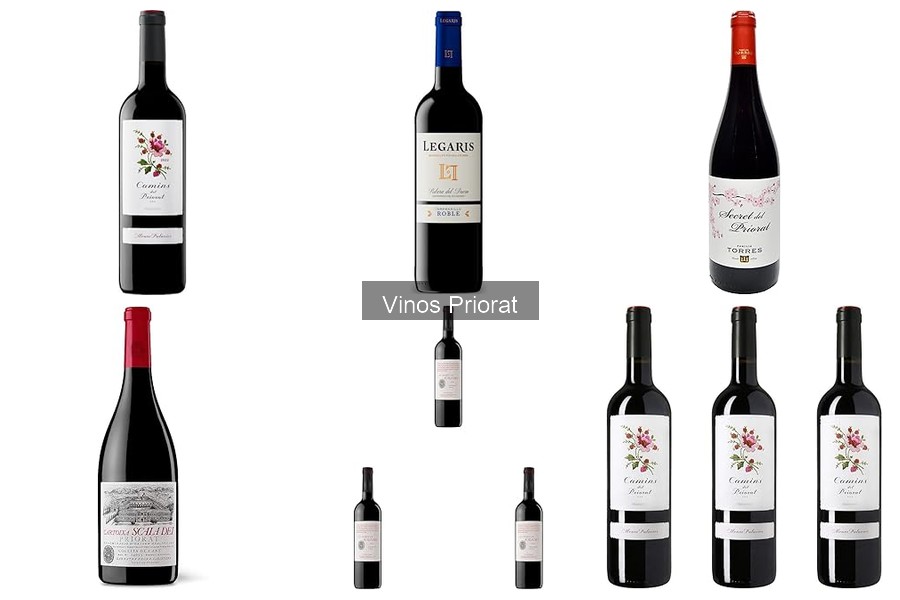 Las Mejores Bodegas en Priorat para Disfrutar Vinos Únicos
