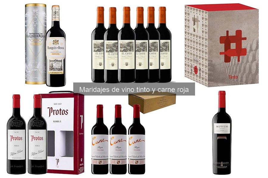Las Mejores Combinaciones de Vino Tinto para Asados