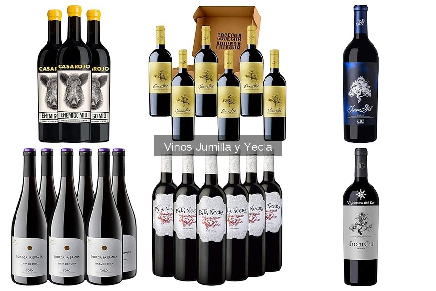 Las Mejores Marcas de Vino de Jumilla para Disfrutar