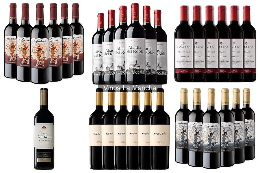 Las Mejores Marcas de Vino de La Mancha que Debes Probar