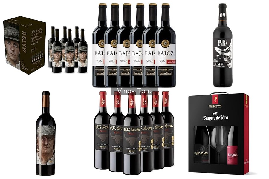 Las Mejores Tiendas Online para Comprar Vinos Toro