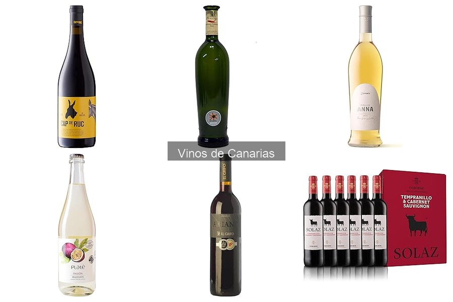 Los mejores vinos de Canarias para regalar a amantes del vino