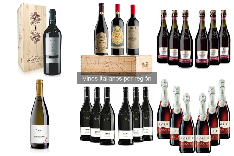 Los Vinos Italianos Más Premiados que Debes Probar