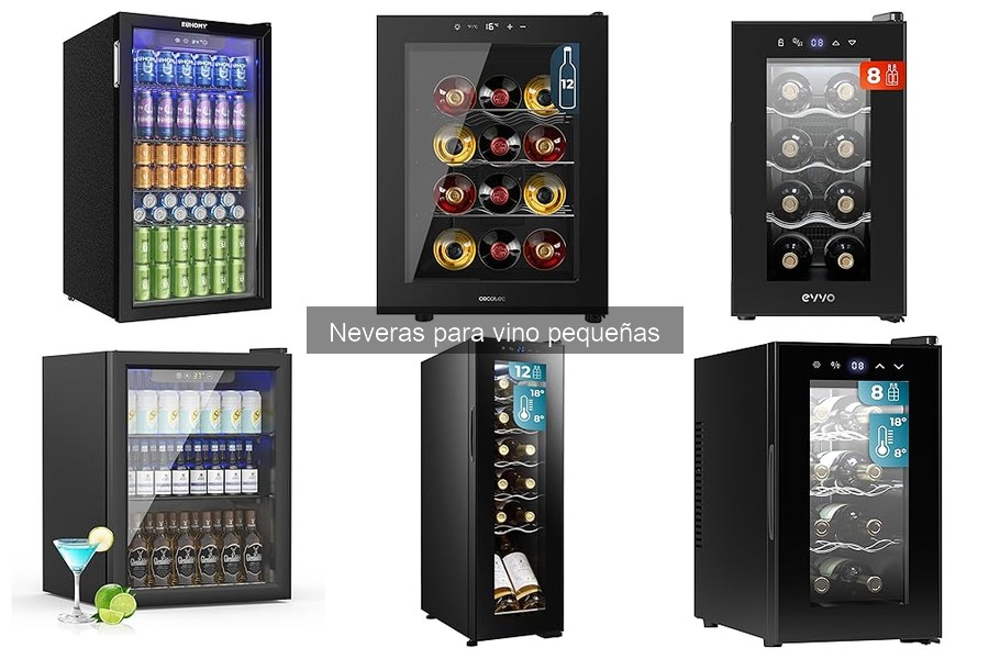 Mantenimiento y limpieza de neveras para vino pequeñas