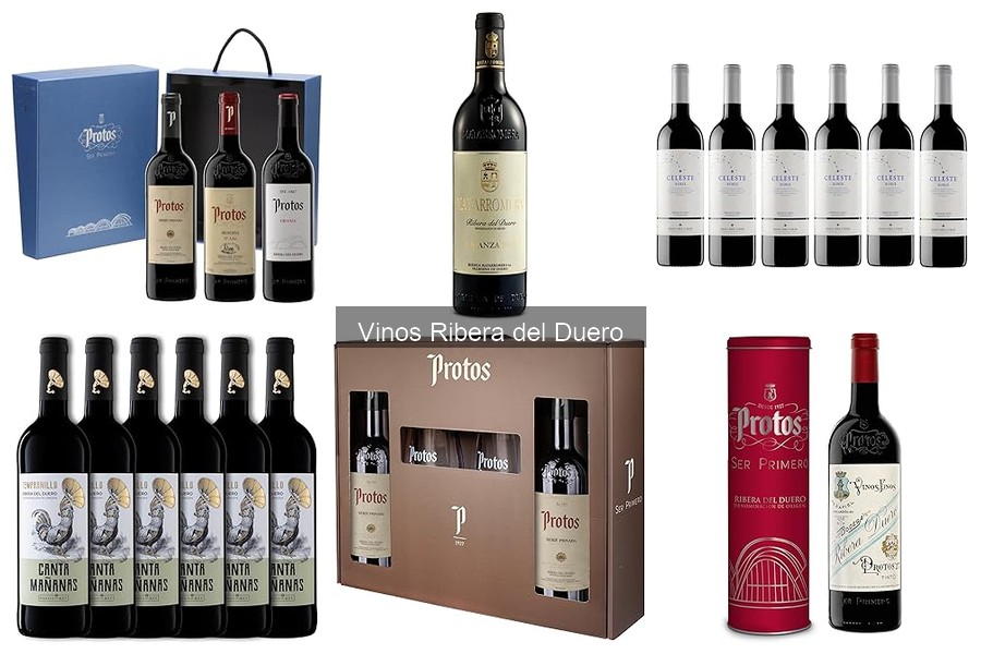 Maridaje ideal: vinos Ribera del Duero y su comida perfecta