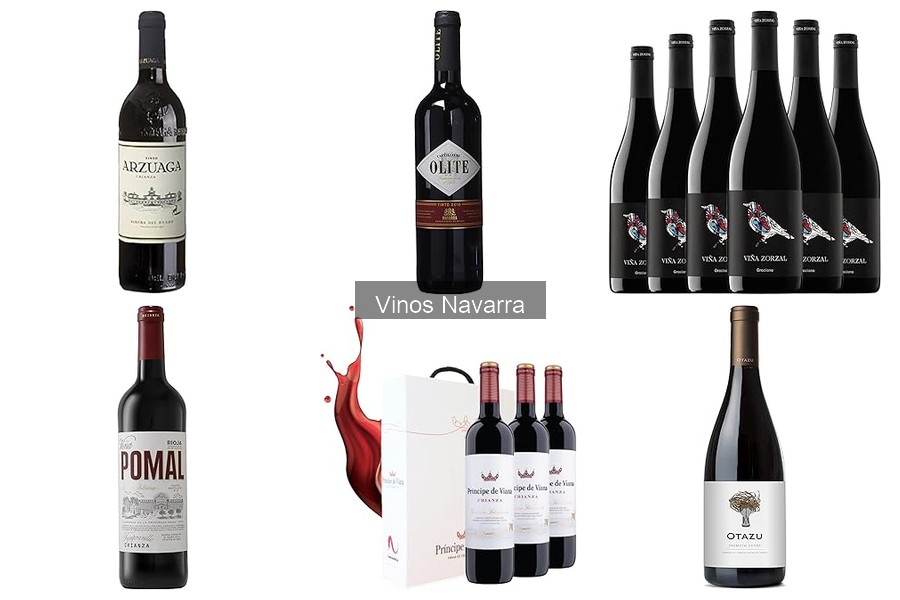 Maridajes ideales con vinos de Navarra para disfrutar en casa