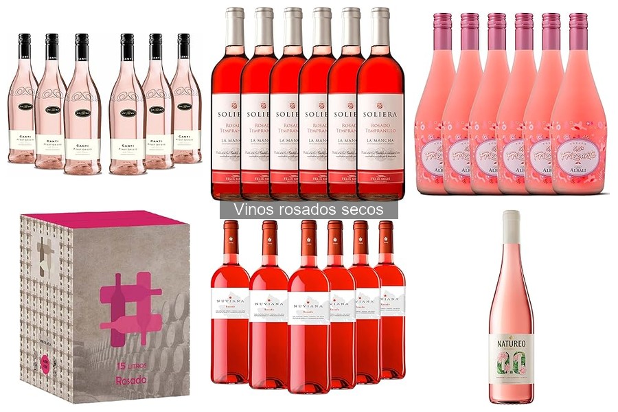 Maridajes Ideales para Vinos Rosados Secos: ¡Descúbrelos!