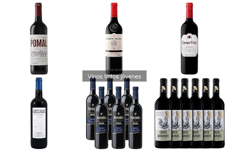 Maridajes ideales para vinos tintos jóvenes