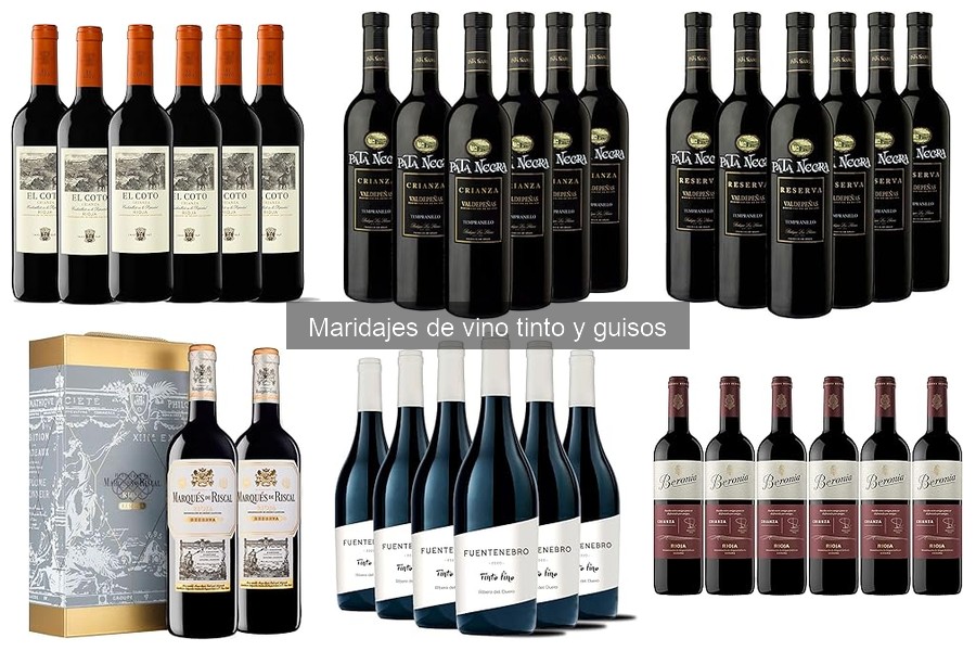 Mejor vino tinto para guiso de pollo: guía de maridaje