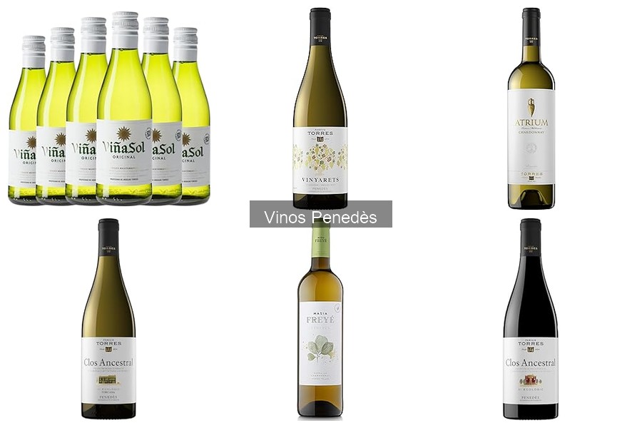 Mejores bodegas de Penedès para disfrutar sus vinos