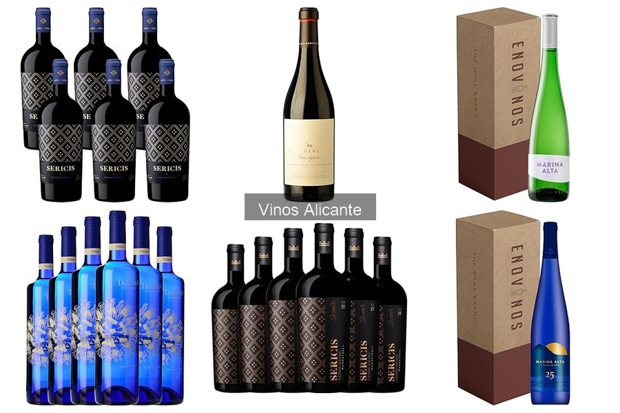 Mejores catas de vino en Alicante: experiencias únicas