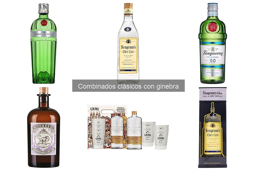 Mejores combinados clásicos con ginebra para disfrutar en casa
