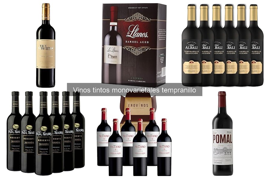 Mejores copas para disfrutar el vino tinto tempranillo