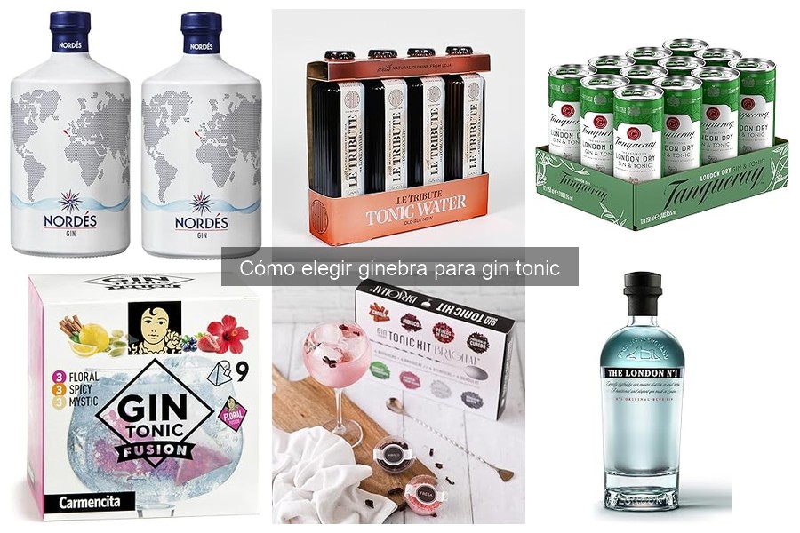 Mejores ginebras refrescantes para gin tonic en casa