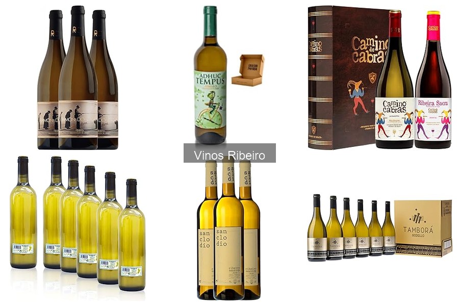 Mejores lugares para comprar vino Ribeiro online