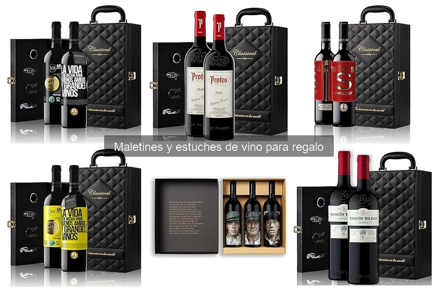 Mejores maletines y estuches de vino para regalar