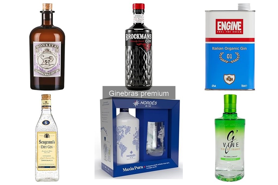 Mejores marcas de ginebra premium: historia y características
