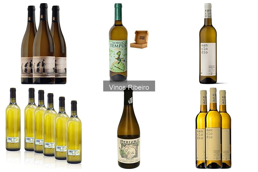 Mejores maridajes para disfrutar del vino Ribeiro